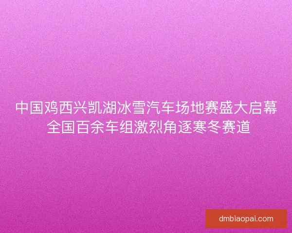 中国鸡西兴凯湖冰雪汽车场地赛盛大启幕 全国百余车组激烈角逐寒冬赛道